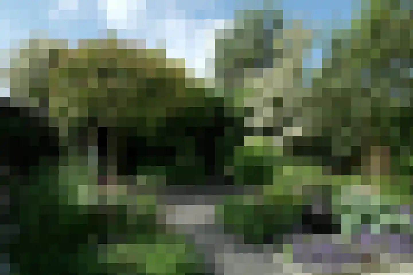Eikenlaan 55 Scherpenzeel thumbnail 43