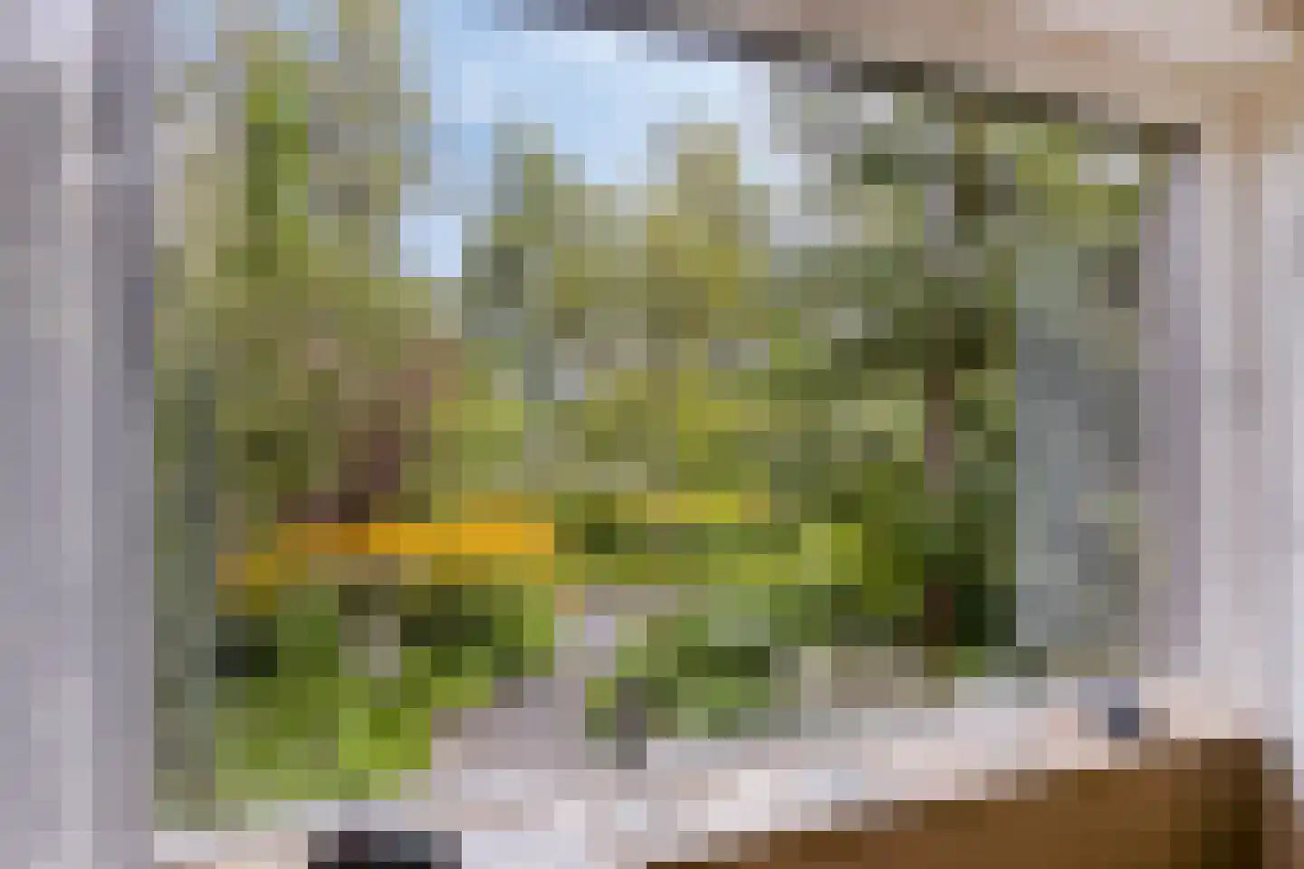 Eikenlaan 55 Scherpenzeel thumbnail 7