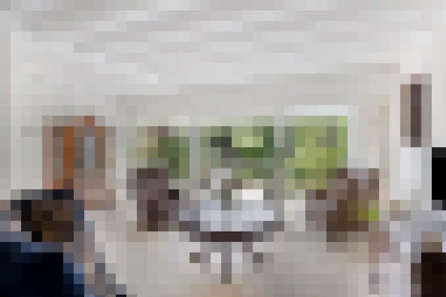 Eikenlaan 55 Scherpenzeel thumbnail 8