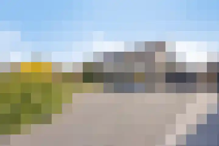 Eikenlaan 57 Scherpenzeel