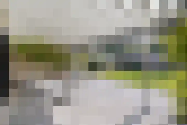 Eikenlaan 57 Scherpenzeel thumbnail 12