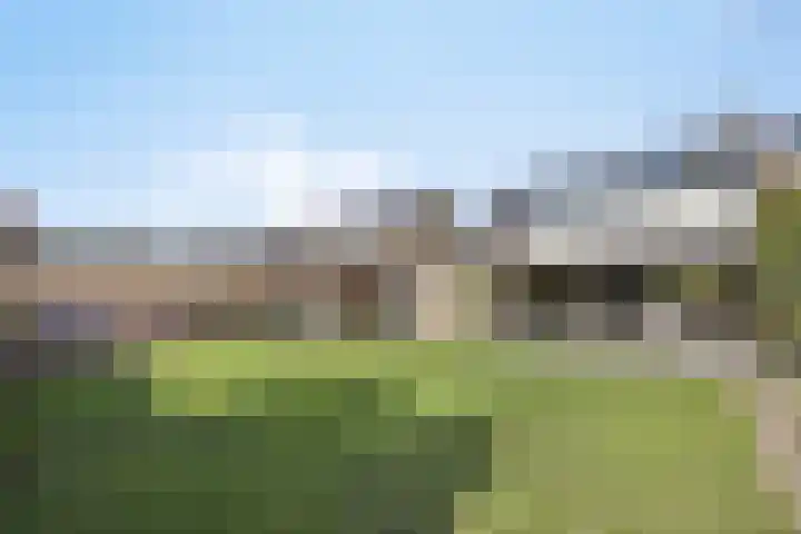 Eikenlaan 57 Scherpenzeel thumbnail 14