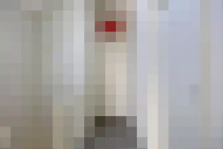 Eikenlaan 57 Scherpenzeel thumbnail 18
