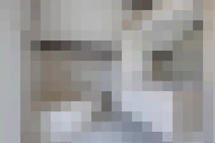 Eikenlaan 57 Scherpenzeel thumbnail 21