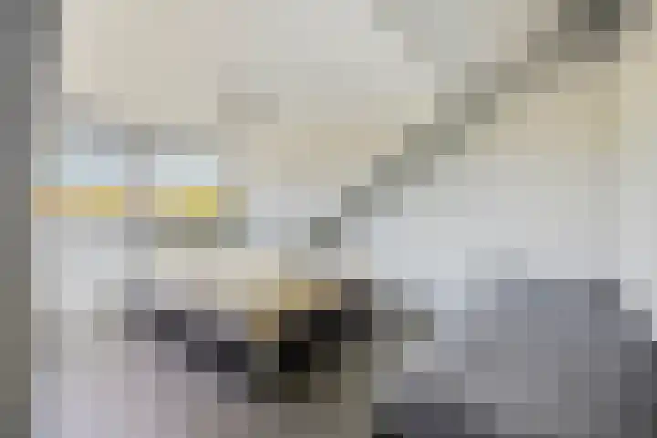 Eikenlaan 57 Scherpenzeel thumbnail 25