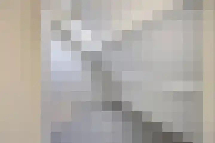 Eikenlaan 57 Scherpenzeel thumbnail 27