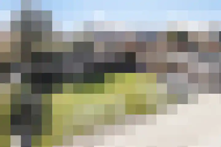 Eikenlaan 57 Scherpenzeel thumbnail 28