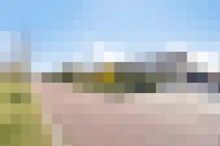 Eikenlaan 57 Scherpenzeel thumbnail 39