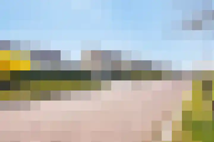 Eikenlaan 57 Scherpenzeel thumbnail 40