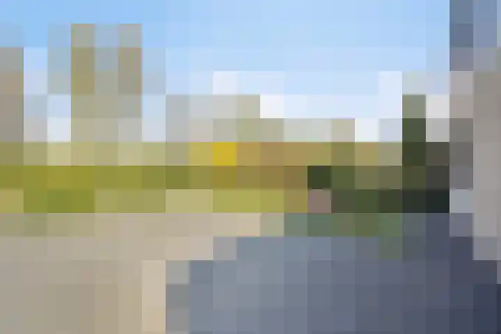 Eikenlaan 57 Scherpenzeel thumbnail 41