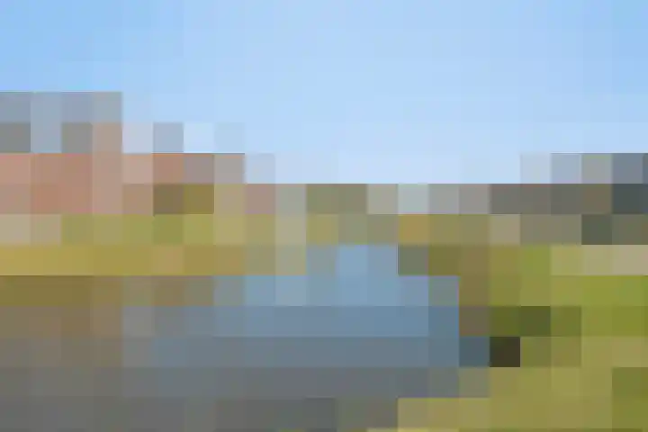 Eikenlaan 57 Scherpenzeel thumbnail 43