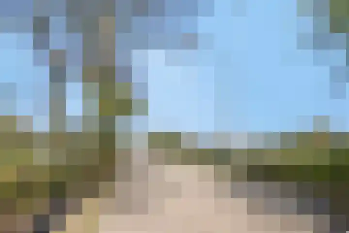 Eikenlaan 57 Scherpenzeel thumbnail 44