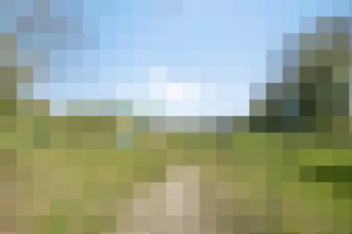 Eikenlaan 57 Scherpenzeel thumbnail 45
