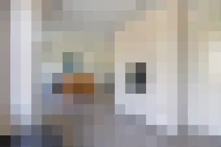 Eikenlaan 57 Scherpenzeel thumbnail 8