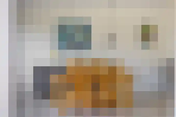 Eikenlaan 57 Scherpenzeel thumbnail 9