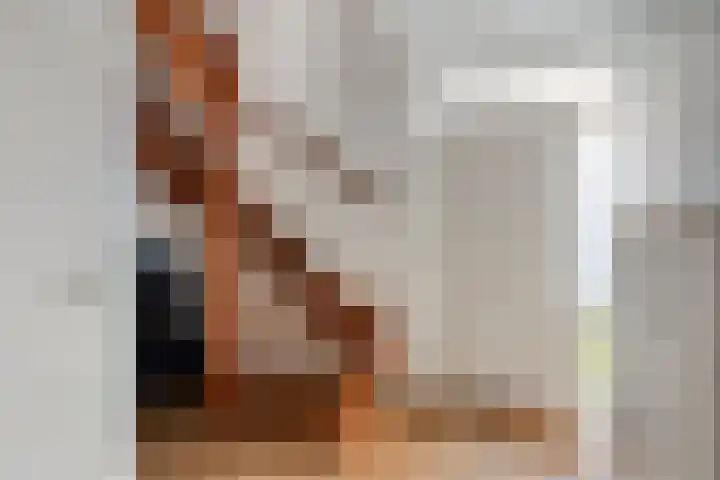 Eikenlaan 59 Molenhoek thumbnail 22
