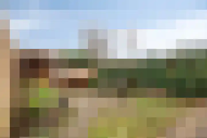 Eikenlaan 59 Molenhoek thumbnail 43