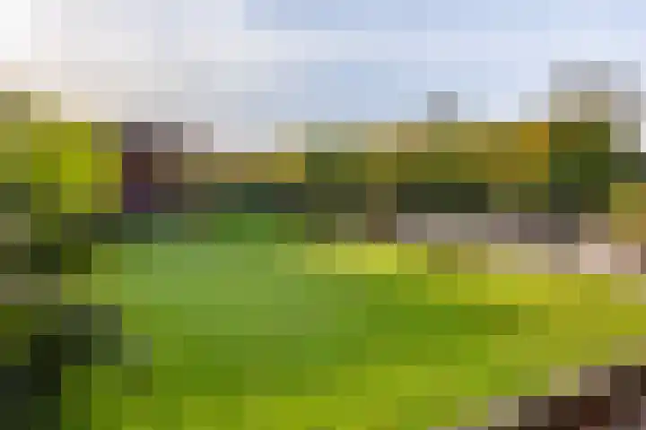 Eikenlaan 6 Langenboom thumbnail 53