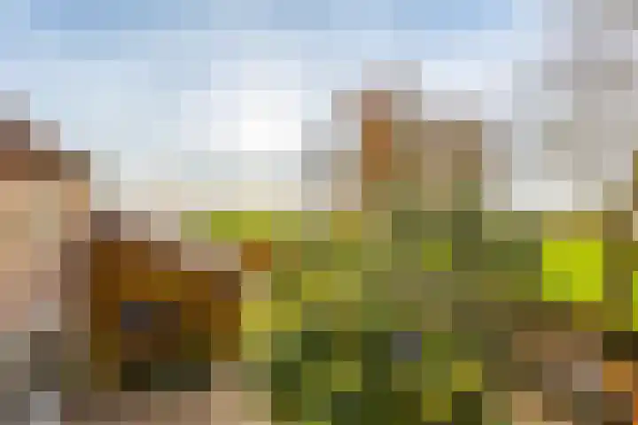 Eikenlaan 6 Langenboom thumbnail 66