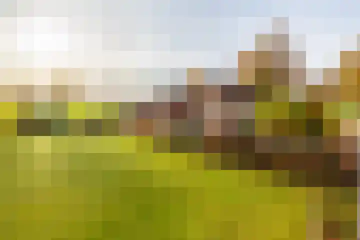 Eikenlaan 6 Langenboom thumbnail 69