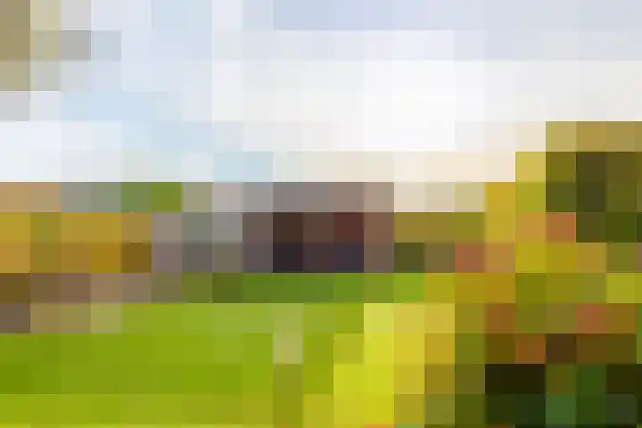 Eikenlaan 6 Langenboom thumbnail 7