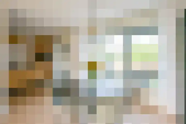 Eikenlaan 6 Middenmeer thumbnail 12