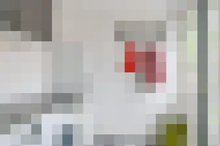 Eikenlaan 6 Middenmeer thumbnail 17