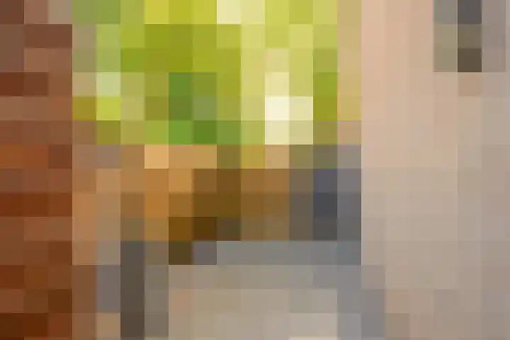 Eikenlaan 6 Middenmeer thumbnail 32