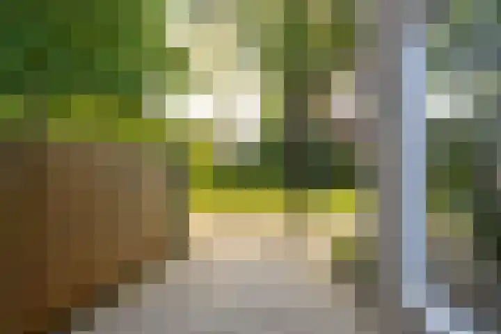Eikenlaan 6 Middenmeer thumbnail 34