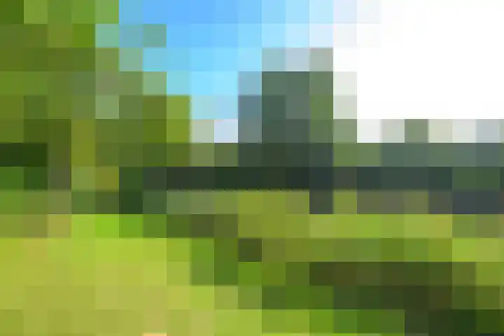 Eikenlaan 6 Middenmeer thumbnail 36