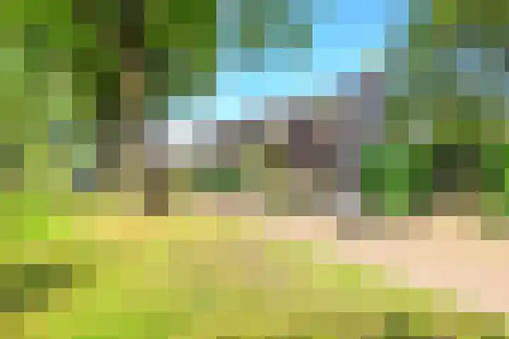 Eikenlaan 6 Middenmeer thumbnail 37