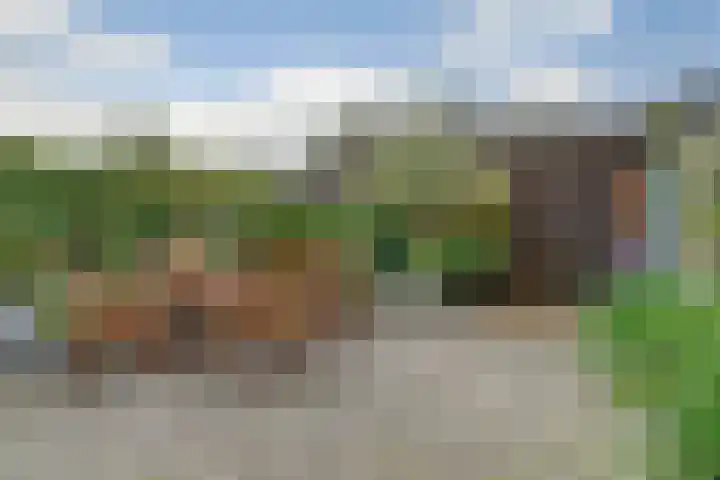 Eikenlaan 6 Renswoude thumbnail 17