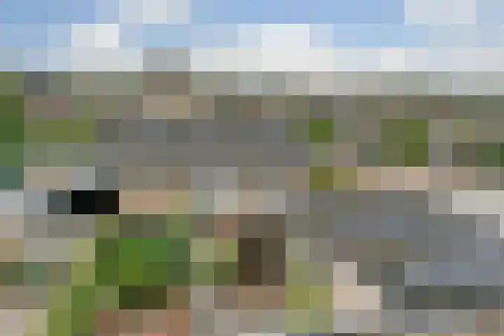 Eikenlaan 6 Renswoude thumbnail 18