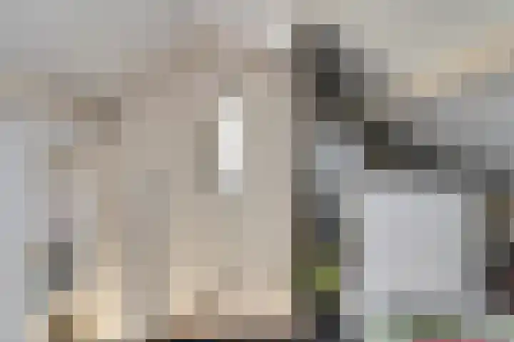 Eikenlaan 6 Renswoude thumbnail 28