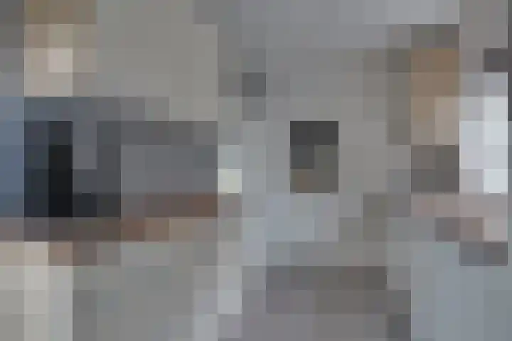 Eikenlaan 6 Smilde thumbnail 11