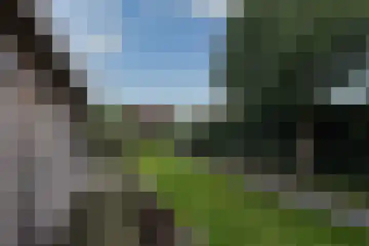 Eikenlaan 6 Smilde thumbnail 28