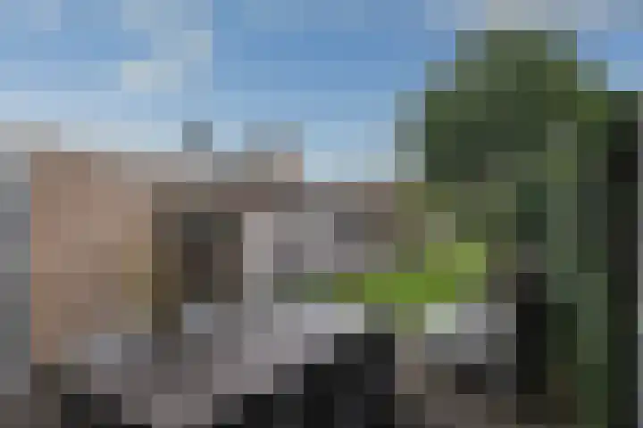 Eikenlaan 6 Smilde thumbnail 29