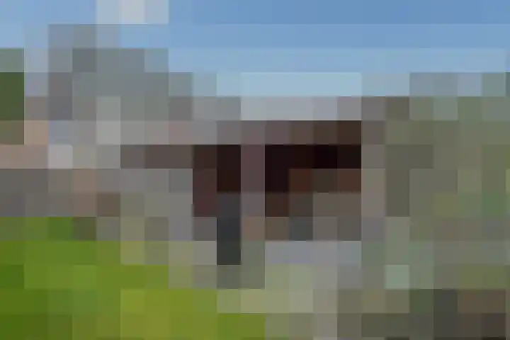 Eikenlaan 6 Smilde thumbnail 31