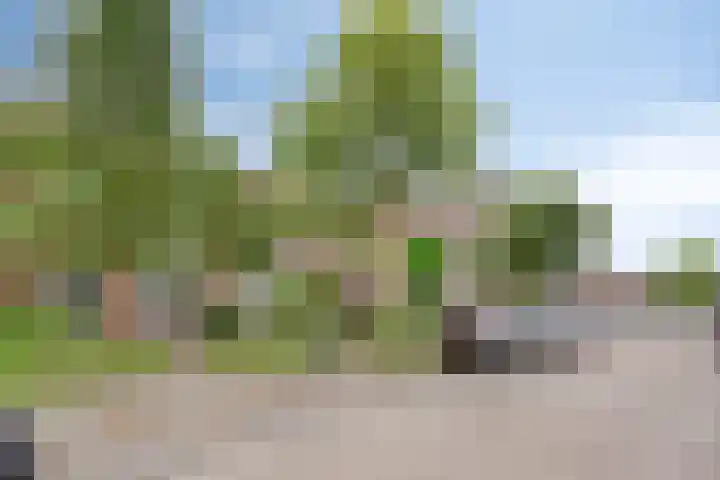 Eikenlaan 6 Smilde thumbnail 43