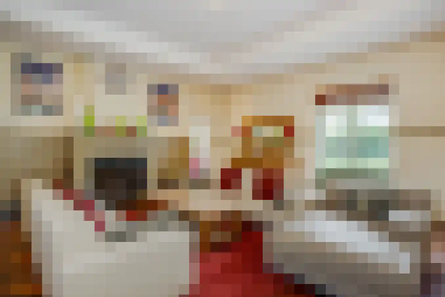 Eikenlaan 6 Wassenaar thumbnail 20