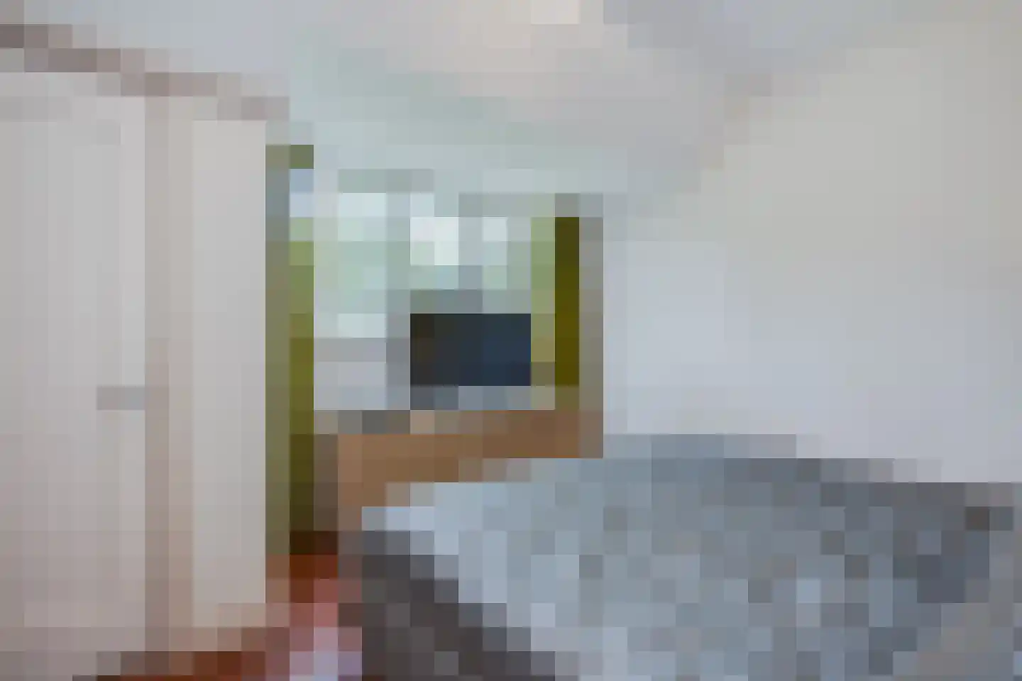 Eikenlaan 6 Wassenaar thumbnail 30