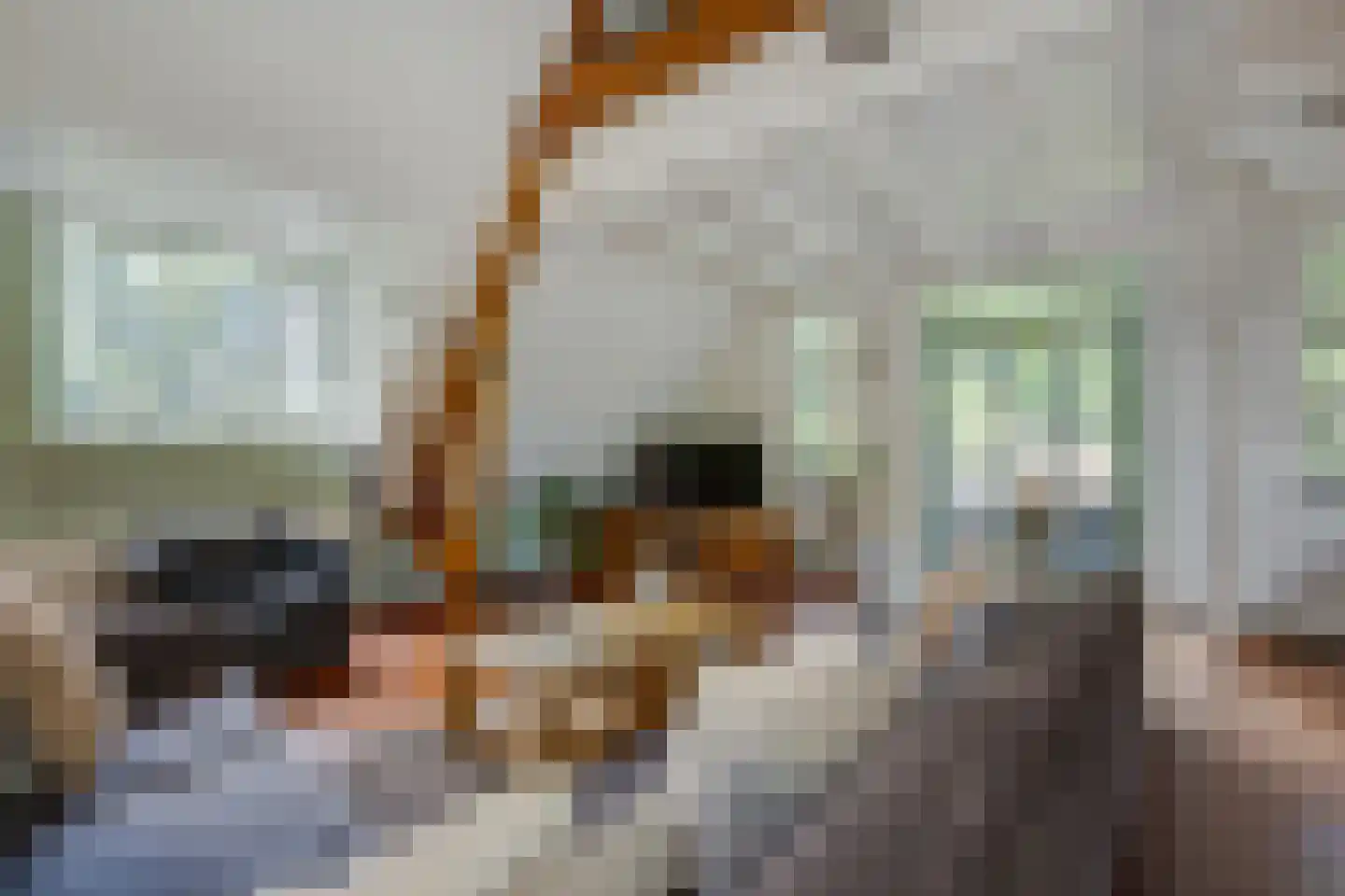 Eikenlaan 6 Wassenaar thumbnail 44
