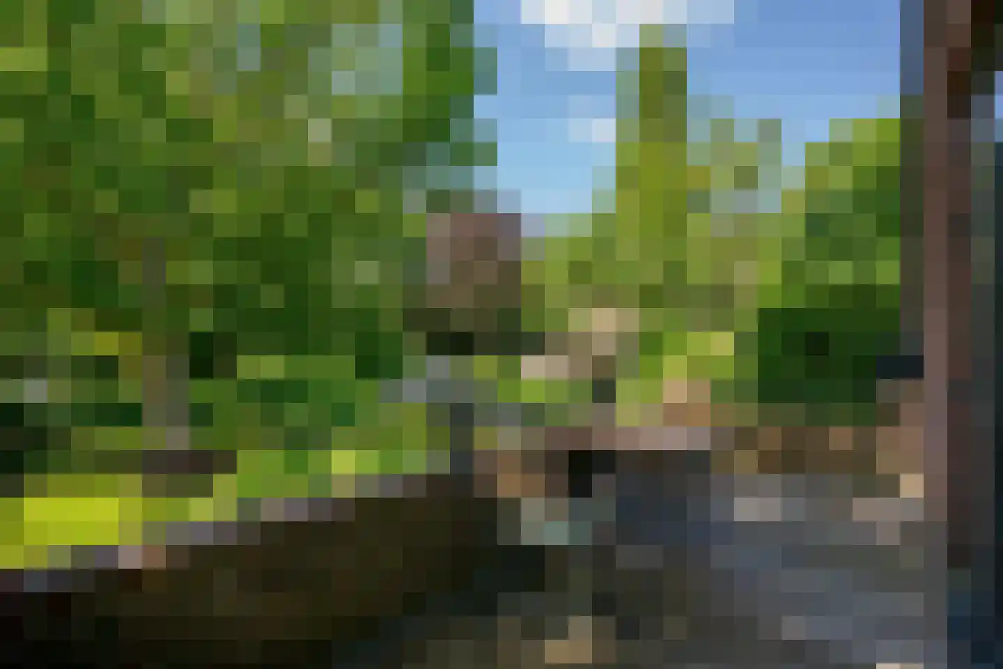 Eikenlaan 6 Wassenaar thumbnail 47