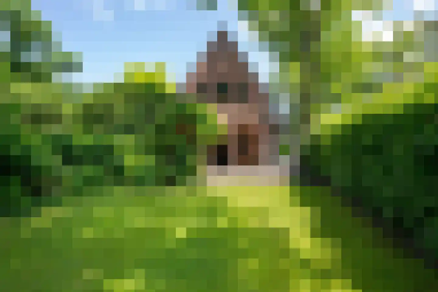 Eikenlaan 6 Wassenaar thumbnail 55