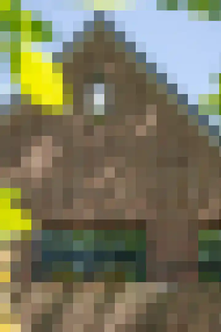 Eikenlaan 6 Wassenaar thumbnail 57