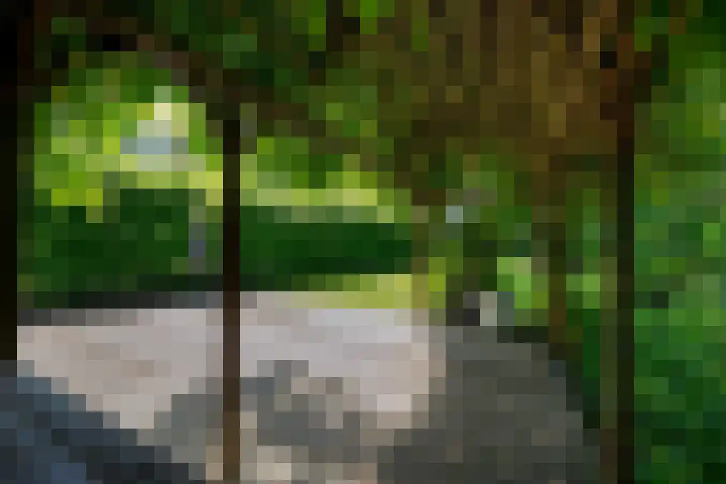 Eikenlaan 6 Wassenaar thumbnail 58