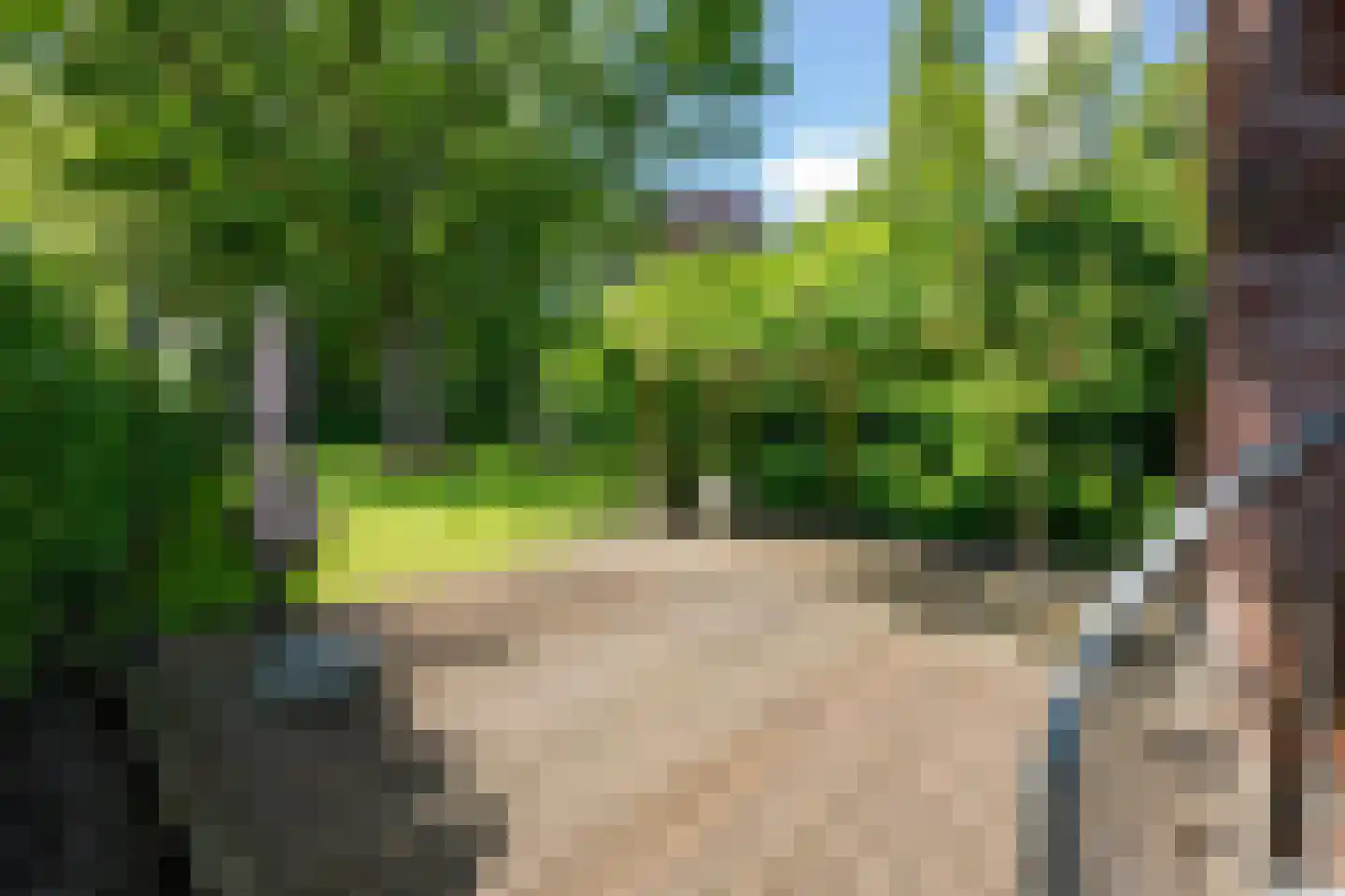 Eikenlaan 6 Wassenaar thumbnail 59