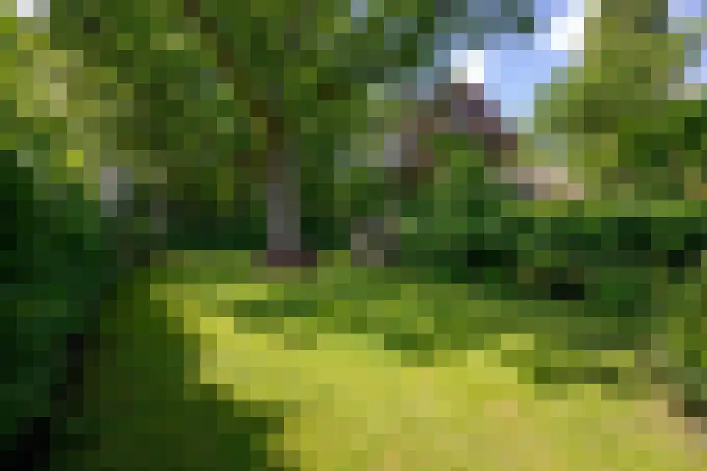Eikenlaan 6 Wassenaar thumbnail 60