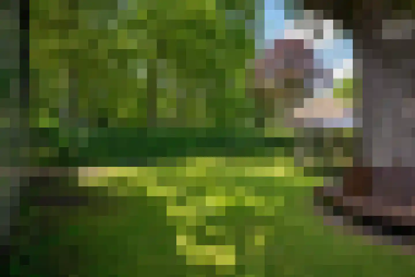 Eikenlaan 6 Wassenaar thumbnail 61