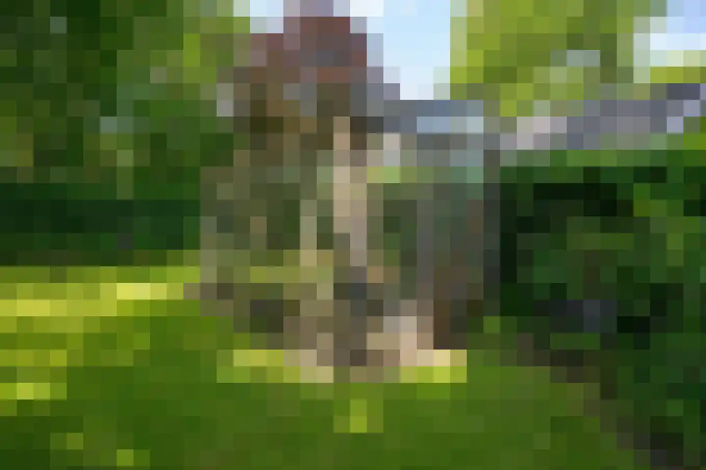 Eikenlaan 6 Wassenaar thumbnail 62